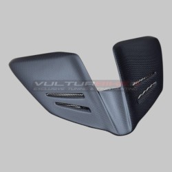 Evolution carbon tail - Ducati Panigale and Streetfighter V4 / V4S