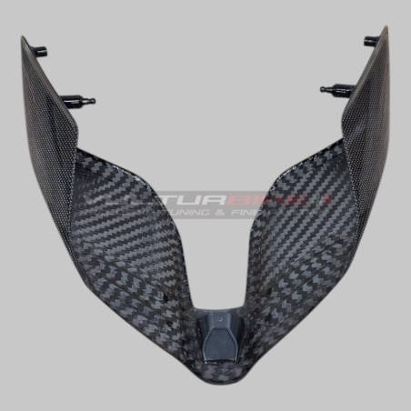 Evolution Carbon Heck - Ducati Panigale und Streetfighter V4 / V4S
