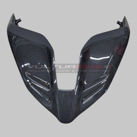 Evolution Carbon Heck - Ducati Panigale und Streetfighter V4 / V4S