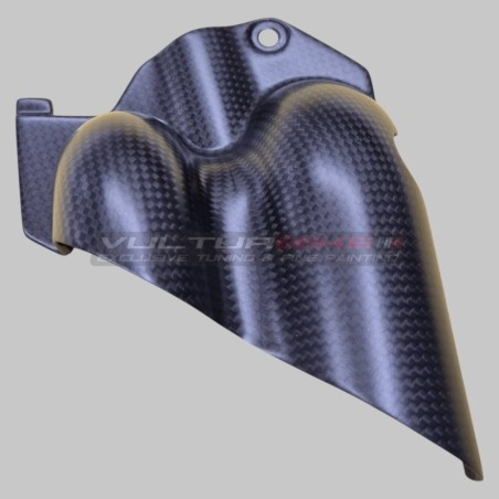 Protezione in carbonio per tubi pompa acqua - Ducati Multistrada V4 / V4S / Pikes Peak / RS