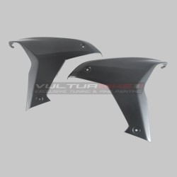 Carbon Seitenverkleidungen - Ducati Multistrada V4 / V4S / V4RS / Pikes Peak