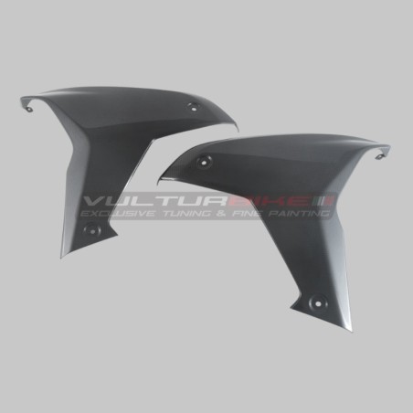 Paneles laterales de carbono - Ducati Multistrada V4 / V4S / V4RS / Pikes Peak