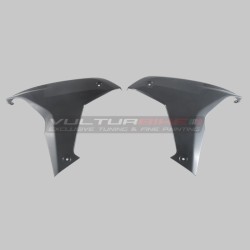 Paneles laterales de carbono - Ducati Multistrada V4 / V4S / V4RS / Pikes Peak