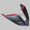 Custom carbon tail - Ducati Panigale and Streetfighter V4 / V4S