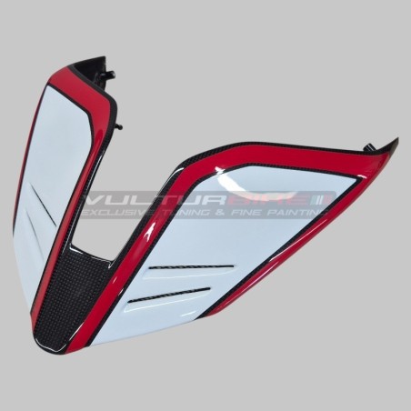 Spezielles Carbon Einsitzer Heck für Ducati Panigale und Streetfighter V4 / V4S