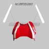 Tiras decorativas para la tapa de la batería - Ducati Panigale / Streetfighter V2