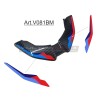 Toe cap stickers - BMW S1000XR