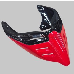 Codone monoposto evolution versione stradale / racing - Ducati Panigale / Streetfighter 2018 / 2024