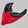 Evolution monoplaza de cola versión carretera / racing - Ducati Panigale / Streetfighter 2018 / 2024