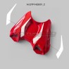 Adhesive profiles for tanks - Ducati Streetfighter V4 / V4S