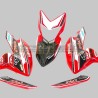 Kit adhésif de conception d’équipe Aruba - Ducati Hypermotard 821/939