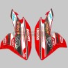 Kit adhesivo de diseño del equipo Aruba - Ducati Hypermotard 821/939
