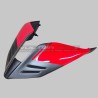 Painted carbon tail for Ducati Panigale and Streetfighter V4 / V4S