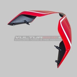 Evolution Carbon Heck für Ducati Panigale und Streetfighter V4 / V4S