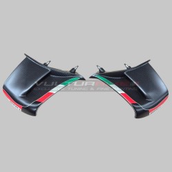 Aletas de carbono personalizadas SBK para Ducati Panigale V4