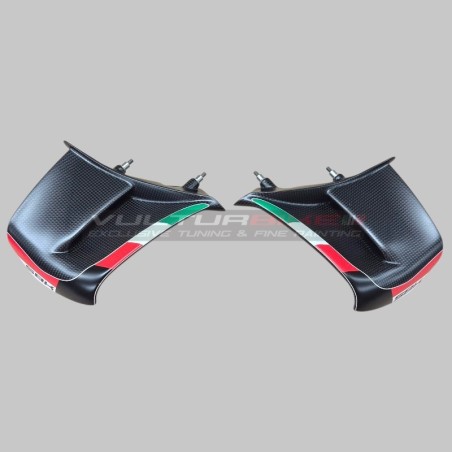 SBK Custom Carbon Finnen für Ducati Panigale V4