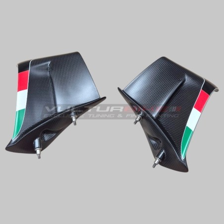 Ailerons carbone personnalisés SBK pour Ducati Panigale V4