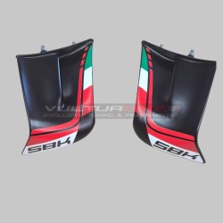 Paar farbige Flossen aus Kunststofffaser - Ducati Panigale V4 2022 / 2024