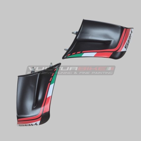 Coppia alette in fibre plastiche colorate - Ducati Panigale V4 2022 / 2024