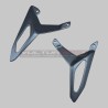 Pair of carbon heel guards - Ducati Streetfighter V4
