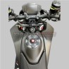 Coperchio centrale serbatoio in carbonio - Ducati Hypermotard 950