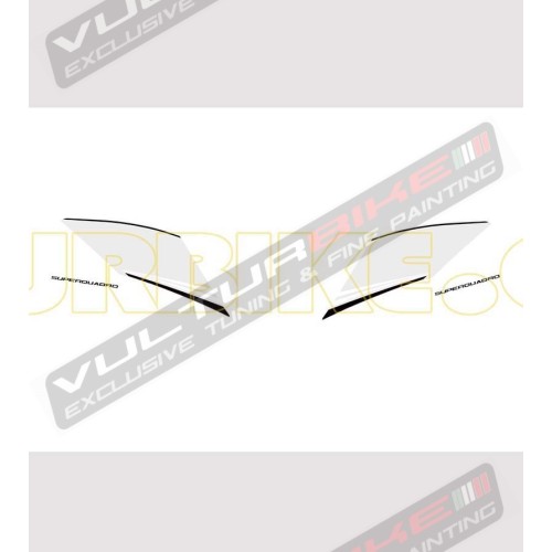 Autocollants personnalisables pour panneaux codon - Ducati Panigale 899/1199 