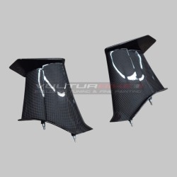 V4R-Version Kohlenstoff-Flügelset für Ducati Panigale V4 / V4S / V4R