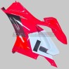 Decorative decals set for fairings Ducati Panigale V4 2018 / 2019