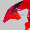 Dekorative Aufkleber für Verkleidungen Ducati Panigale V4 2018 / 2019