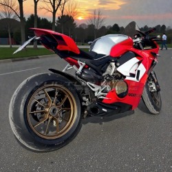 Dekorative Aufkleber für Verkleidungen Ducati Panigale V4 2018 / 2019