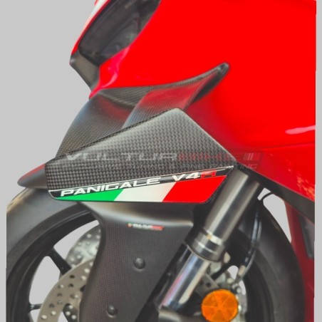 V4R-Version Kohlenstoff-Flügelset für Ducati Panigale V4 / V4S / V4R