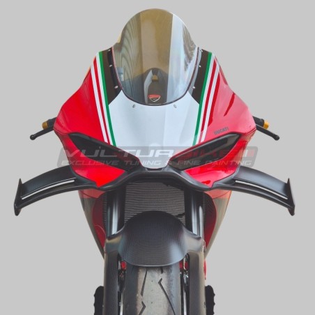 Set ali in carbonio versione V4R per Ducati Panigale V4 / V4S / V4R