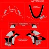 Décalcomanies style Lamborghini pour Ducati Panigale V4 / V4S