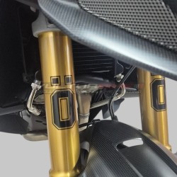 Steinschutzfolien für Ohlins-Gabelbeine Ducati Multistrada V4RS / V4 Pikes Peak