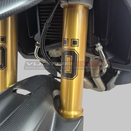 Pellicole protettive antisasso per steli forcella ohlins Ducati Multistrada V4RS / V4 Pikes Peak