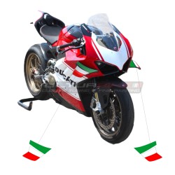 Adesivi per alette personalizzabili - Ducati Panigale V4