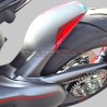 Personalisierte Carbon Gabel Schutz - Ducati Streetfighter V4 / V4S