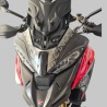 Individuelle Carbon-Windschutzscheibe für Ducati multistrada V4 Pikes Peak 2025 / 2026