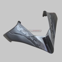 Custom carbon windshield for Ducati multistrada V4 Pikes Peak 2025 / 2026