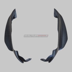 Set cupolino completo in carbonio - Ducati Streetfighter V4