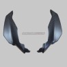 Ensemble complet de bulle carbone - Ducati Streetfighter V4