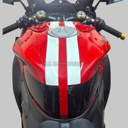 Dekoratives Grafikset für Verkleidungen – Ducati Panigale V4 / V4S 2025 / 2026