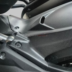 Aile arrière en carbone - Ducati Multistrada V4 Pikes Peak - RS