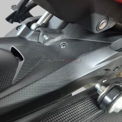 Aile arrière en carbone - Ducati Multistrada V4 Pikes Peak - RS
