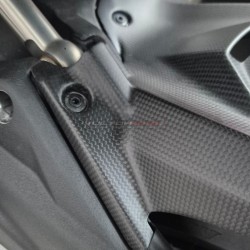 Carbon Rear Fender - Ducati Multistrada V4 Pikes Peak - RS
