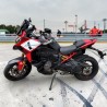 Seitenteile aus Kohlefaser mit Griff - Ducati Multistrada V4