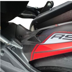 Carbon Rear Fender - Ducati Multistrada V4 RS