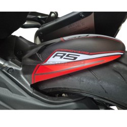 Carbon Kotflügel hinten - Ducati Multistrada V4 RS