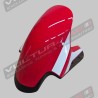 Carbon fiber front fender custom line for Ducati Panigale V4
