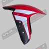 Carbon fiber front fender custom line for Ducati Panigale V4